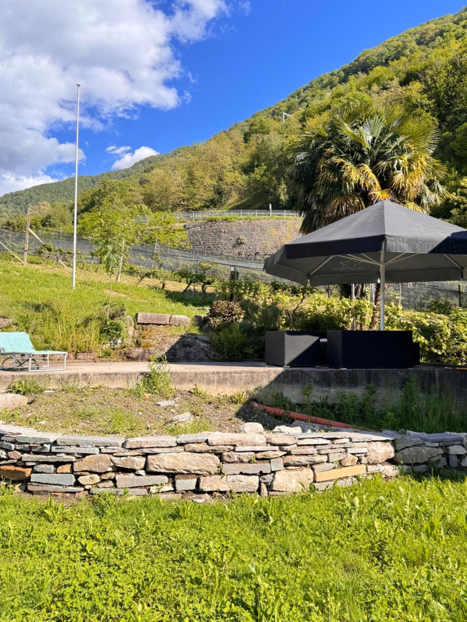 Agriturismo Viva Bacco Gambarogno Esterno foto