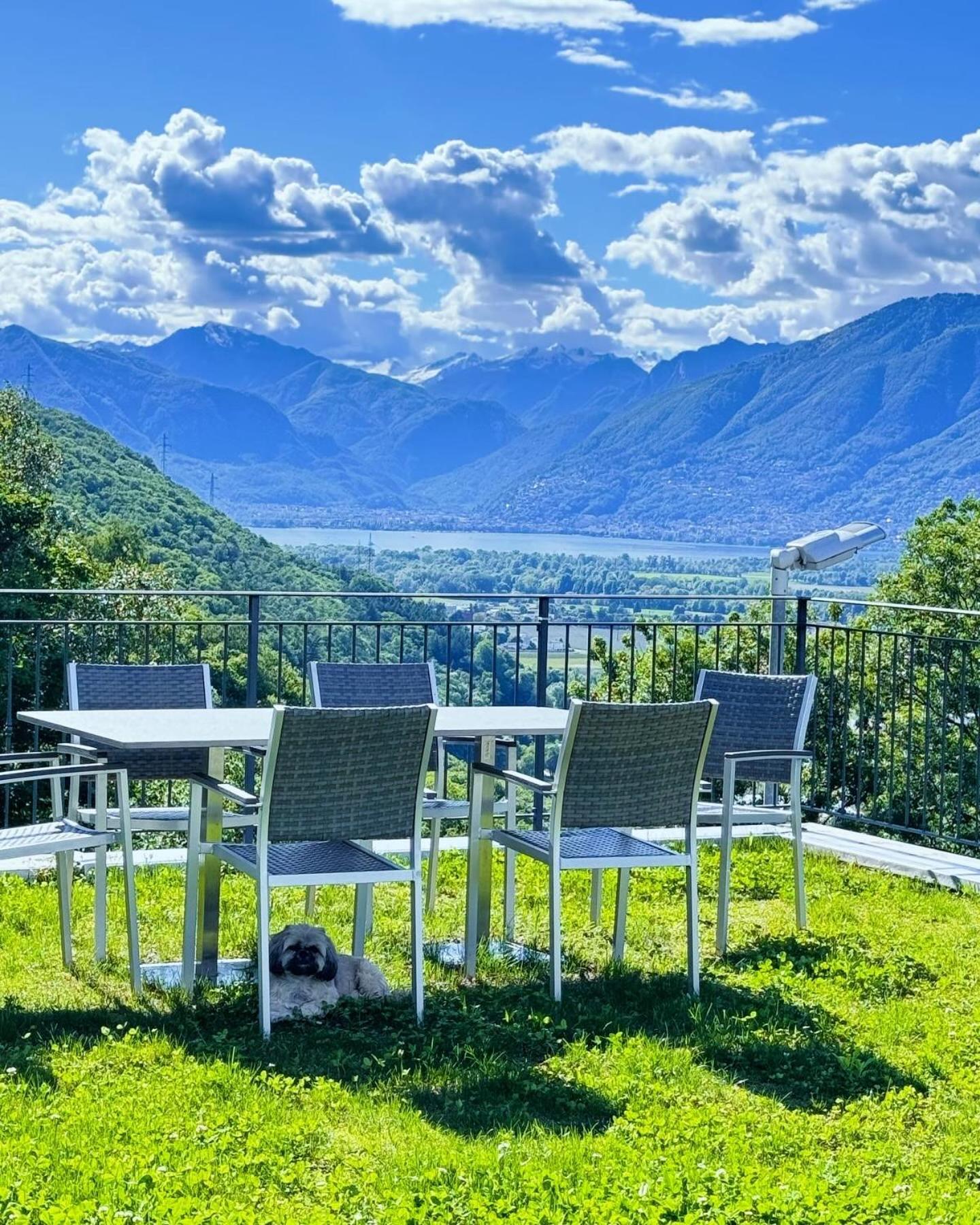 Agriturismo Viva Bacco Gambarogno Esterno foto