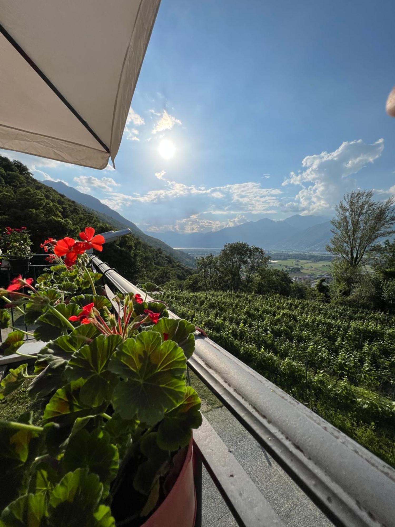 Agriturismo Viva Bacco Gambarogno Esterno foto