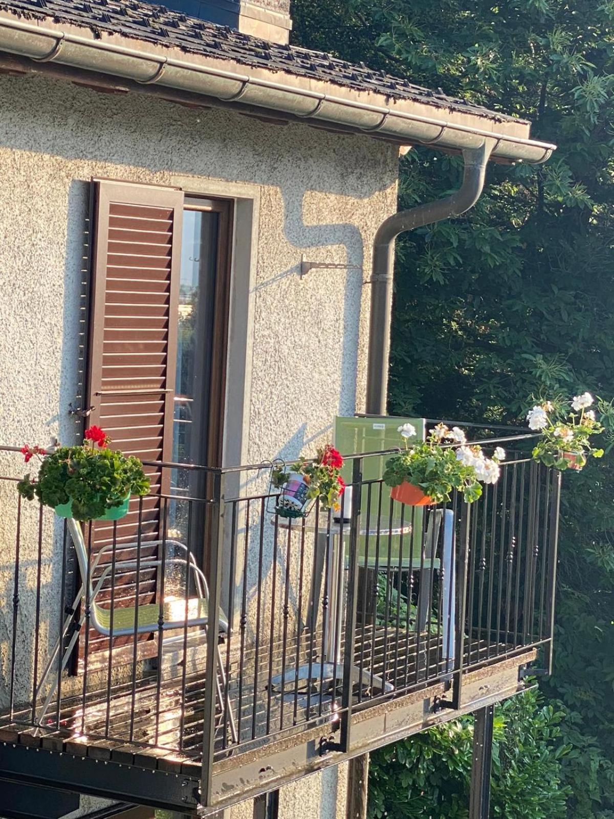 Agriturismo Viva Bacco Gambarogno Esterno foto