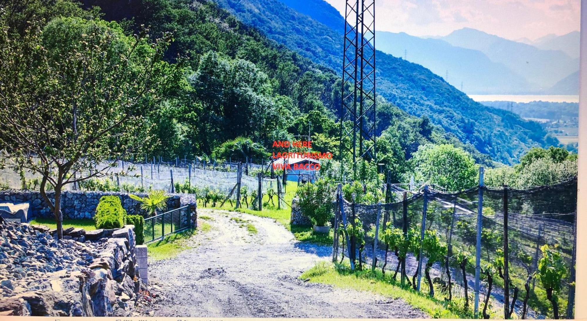 Agriturismo Viva Bacco Gambarogno Esterno foto