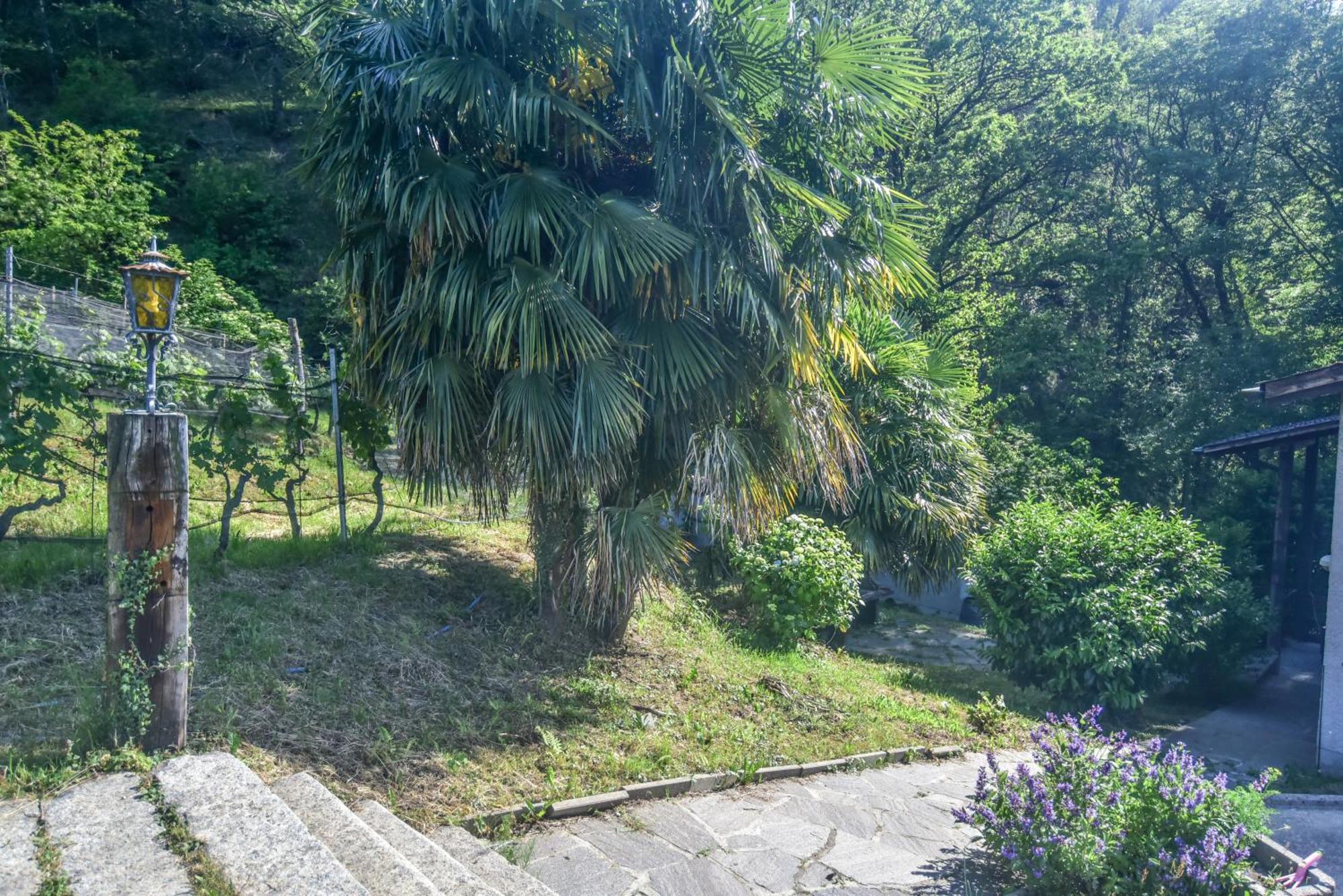 Agriturismo Viva Bacco Gambarogno Esterno foto