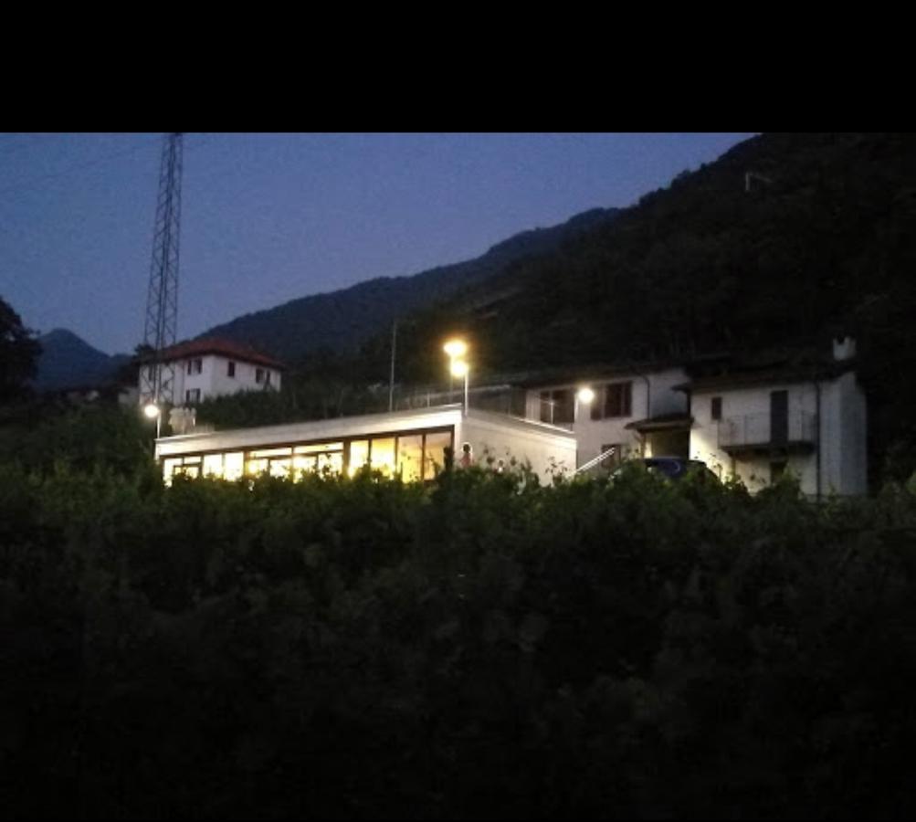 Agriturismo Viva Bacco Gambarogno Esterno foto