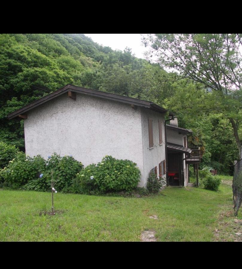 Agriturismo Viva Bacco Gambarogno Esterno foto