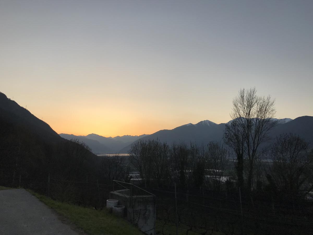 Agriturismo Viva Bacco Gambarogno Esterno foto